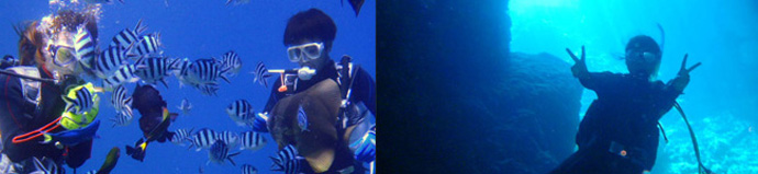 �̓��A�̌��_�C�r���O